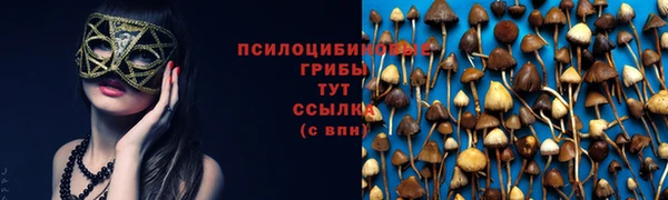 apvp Бородино