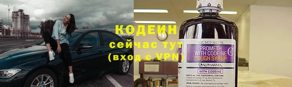 прущий лед Богданович