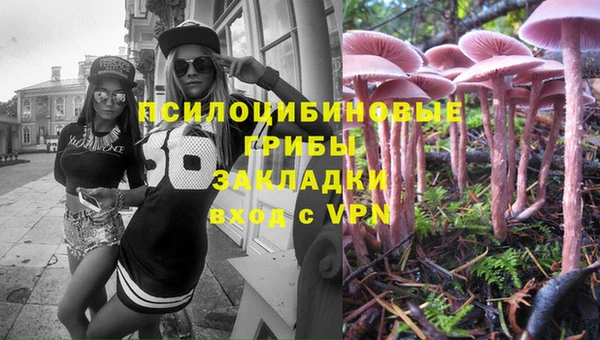 apvp Бородино