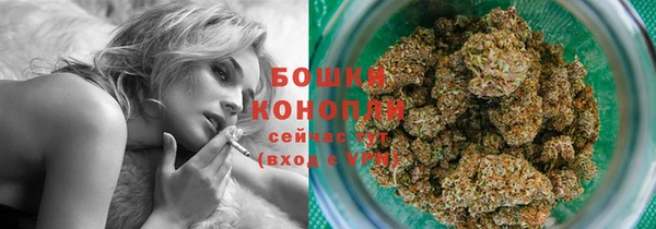 ГАЛЛЮЦИНОГЕННЫЕ ГРИБЫ Бронницы