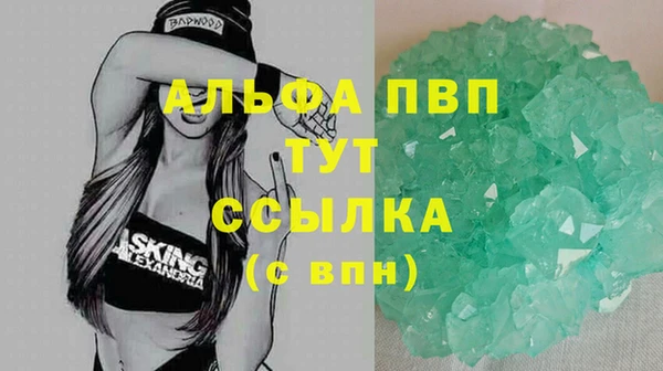 прущий лед Богданович