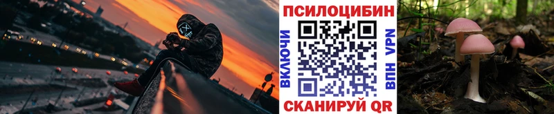 Псилоцибиновые грибы Psilocybe  Костерёво 